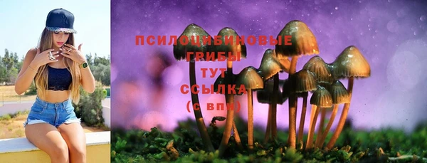 прущая мука Богданович
