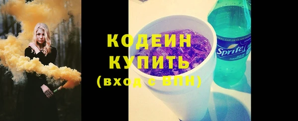 СК Богородск