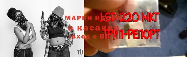 СК Богородск