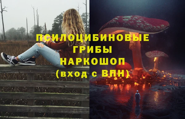 винт Богородицк