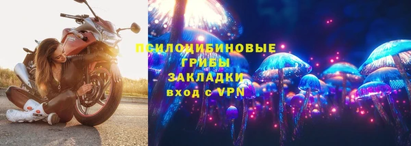 СК Богородск